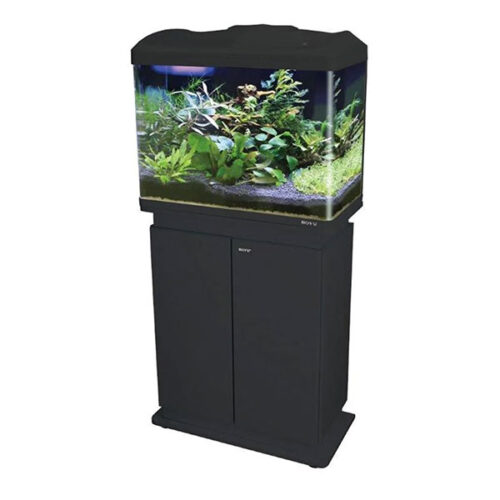 Boyu EC600